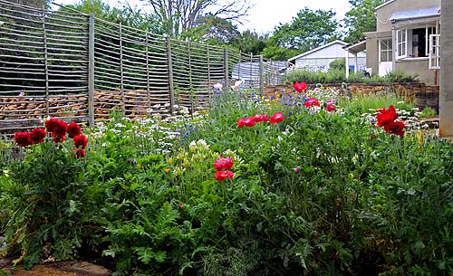 Farm house kitchen window flower garden 